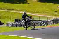 Lower Group Black Bikes